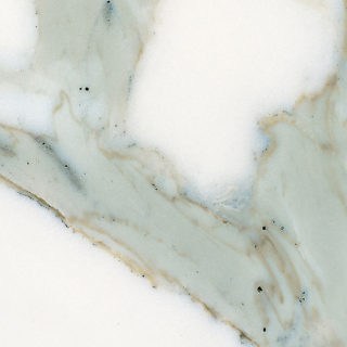 Calacatta Carrara